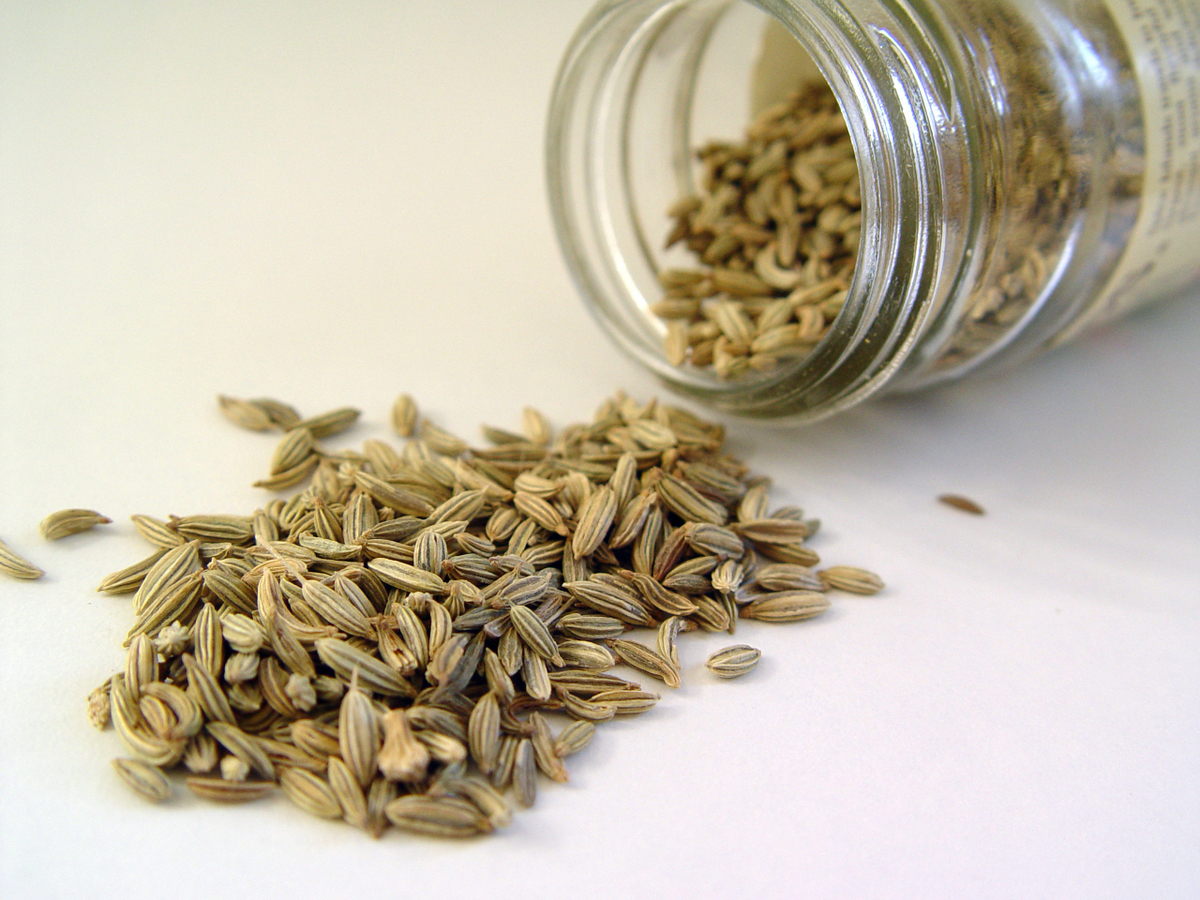 Spices - Fennel Seed